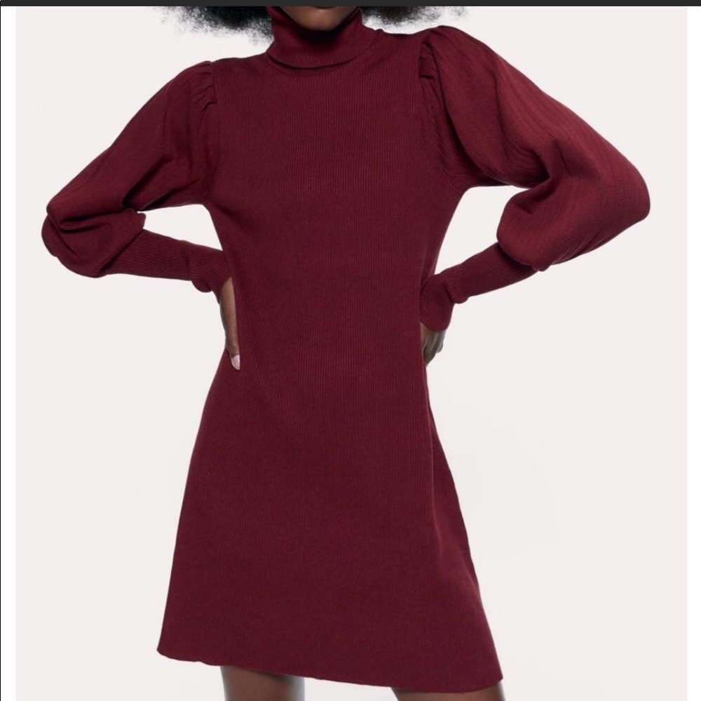 Zara Burgundy Turtleneck Sweater Dress